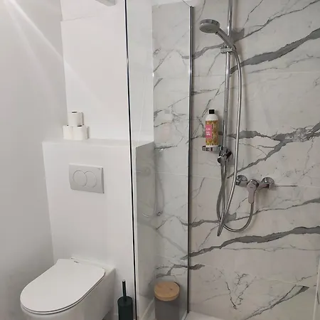 Blanche-neige Clim Ile Verte Proche Hopital Apartament Grenoble