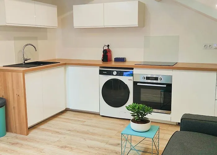 Blanche-neige Clim Ile Verte Proche Hopital Апартаменти *