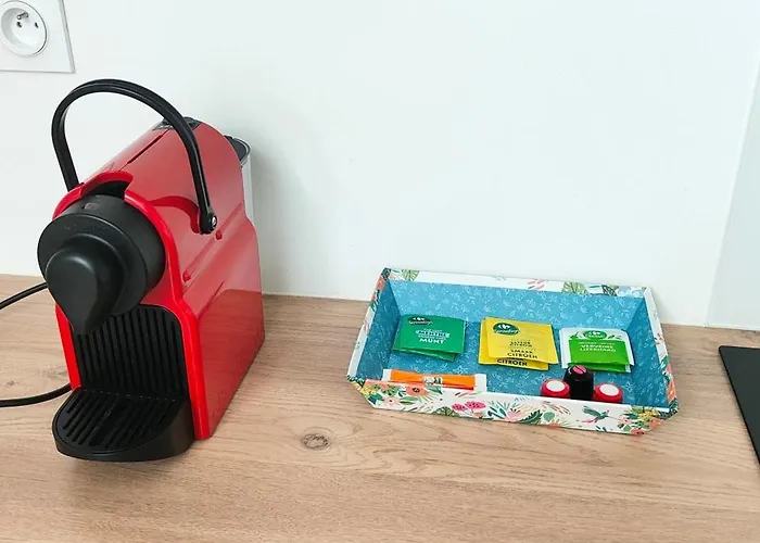 Apartamento Blanche-neige Clim Ile Verte Proche Hopital Grenoble