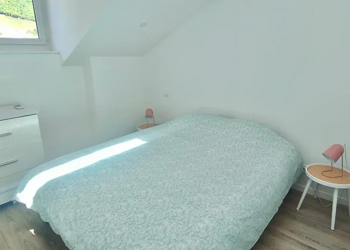 Blanche-neige Clim Ile Verte Proche Hopital Grenoble