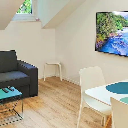 Blanche-neige Clim Ile Verte Proche Hopital דירה גרנובל